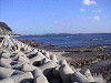 s_PICT0012_thumb.png